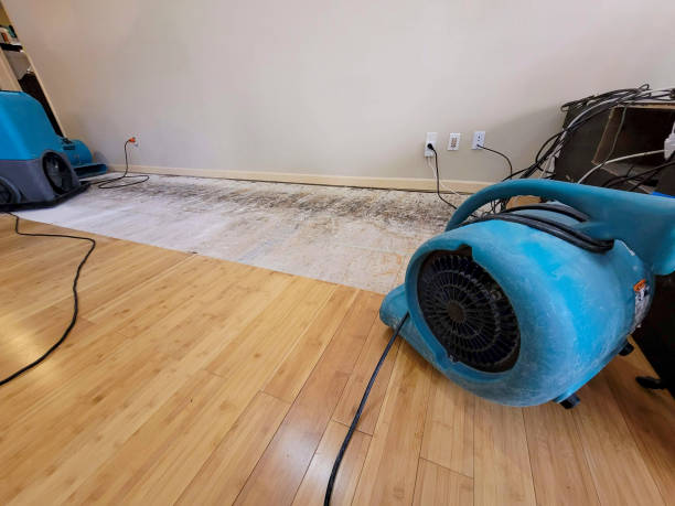Reliable Basement Flood Cleanup contractor in Clinton, NJ by Hirex Water Damage