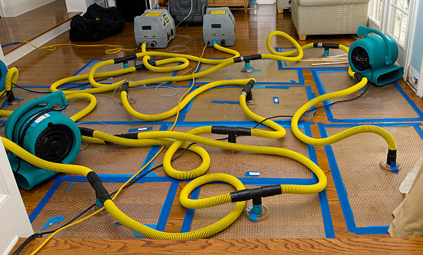 Professional Basement Flood Cleanup technician working in Clinton, NJ